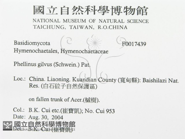 登錄號:F0017439藏品圖，第3張