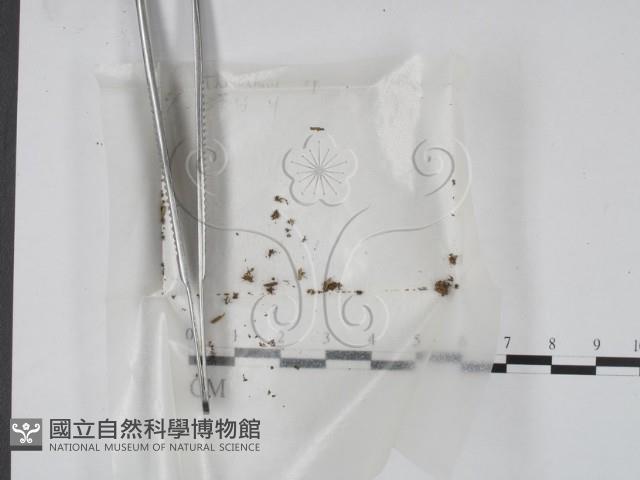 登錄號:F0000739藏品圖，第1張