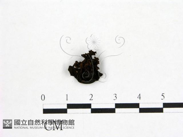 登錄號:F0019739藏品圖，第1張
