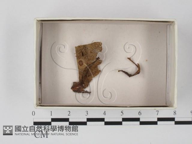 登錄號:F0018539藏品圖，第1張