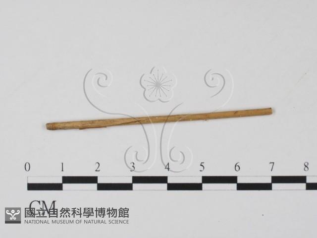 登錄號:F0011539藏品圖，第1張