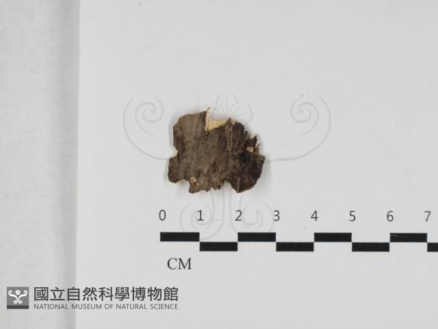 登錄號:F0033139藏品圖，第1張