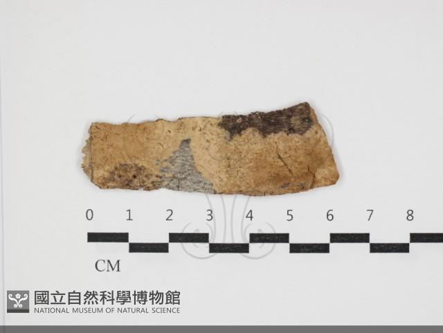 登錄號:F0034039藏品圖，第1張