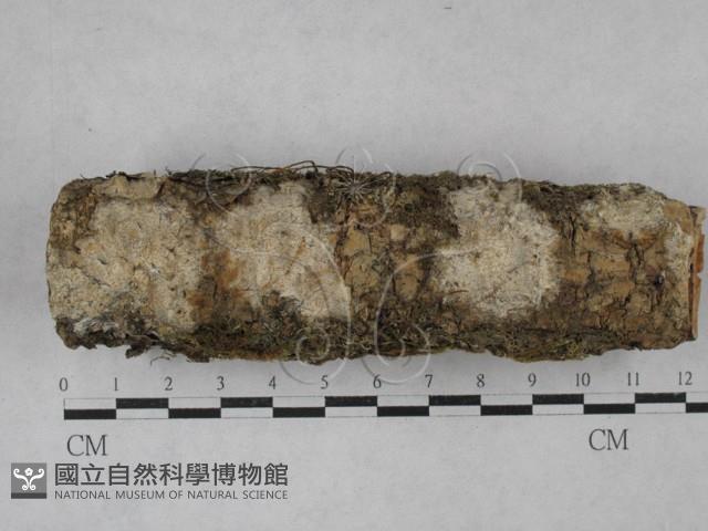 登錄號:F0027039藏品圖，第1張