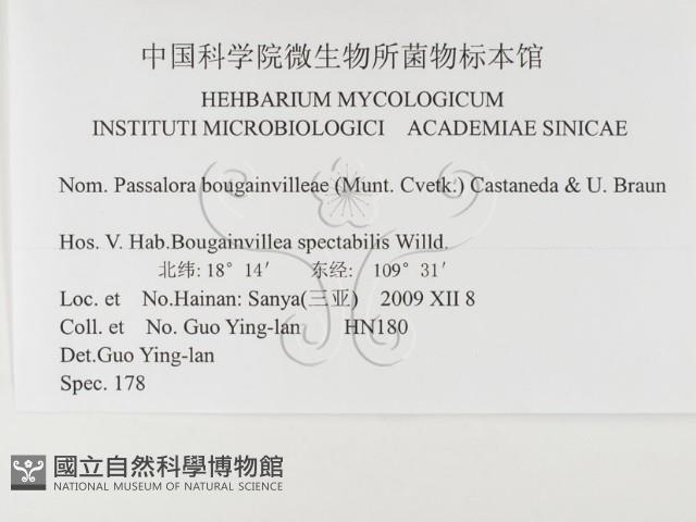 登錄號:F0026339藏品圖，第3張
