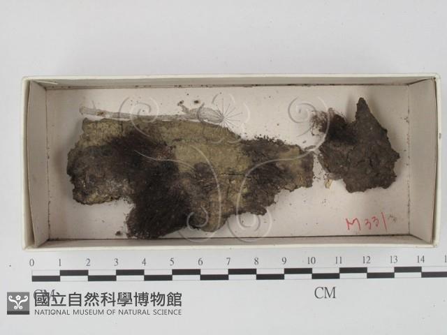 登錄號:F0021339藏品圖，第1張