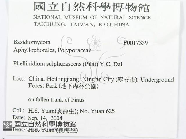 登錄號:F0017339藏品圖，第3張