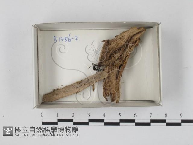 登錄號:F0018279藏品圖，第1張