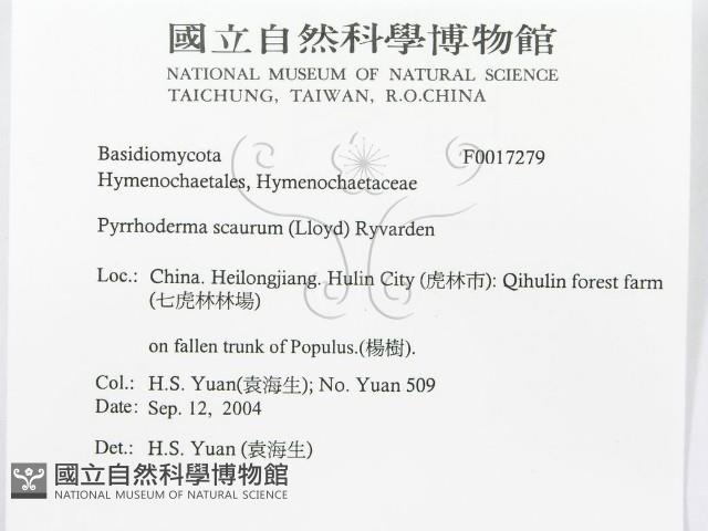 登錄號:F0017279藏品圖，第3張