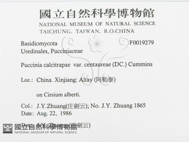 登錄號:F0019279藏品圖，第3張
