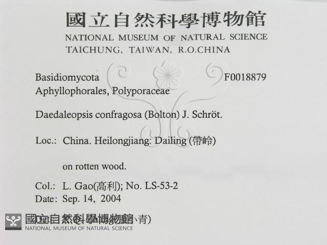 登錄號:F0018879藏品圖，第3張