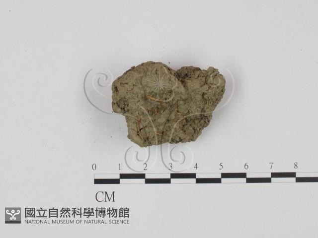 登錄號:F0010879藏品圖，第1張
