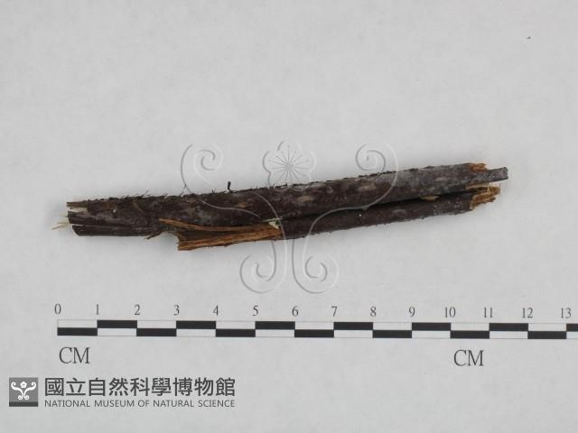 登錄號:F0024879藏品圖，第1張