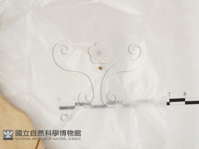 登錄號:F0013879藏品圖，第1張