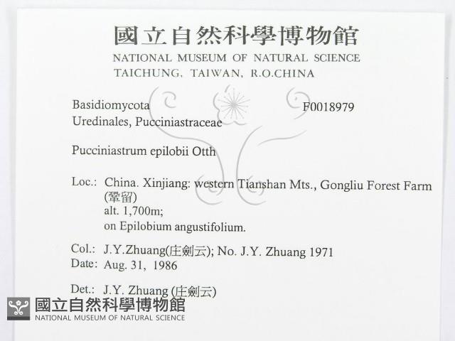 登錄號:F0018979藏品圖，第3張