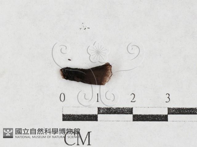 登錄號:F0026979藏品圖，第1張