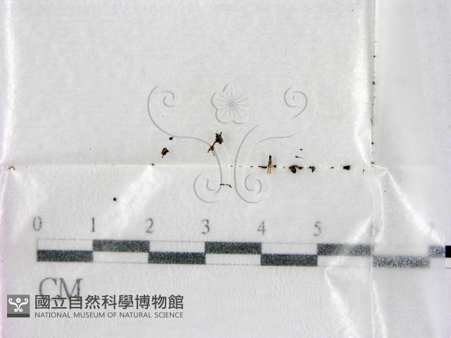 登錄號:F0001979藏品圖，第1張