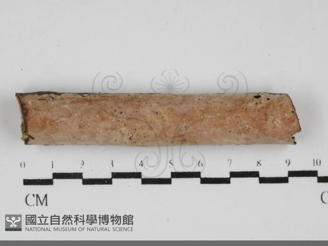 登錄號:F0031979藏品圖，第1張