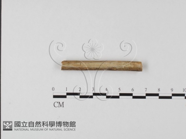 登錄號:F0002979藏品圖，第1張