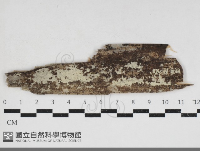 登錄號:F0033979藏品圖，第1張