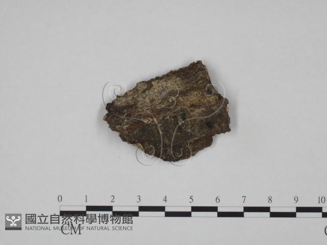 登錄號:F0007679藏品圖，第1張