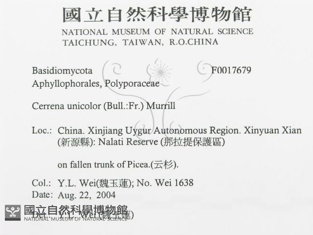 登錄號:F0017679藏品圖，第3張