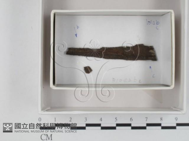 登錄號:F0018479藏品圖，第1張