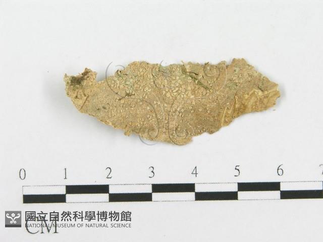 登錄號:F0020479藏品圖，第1張
