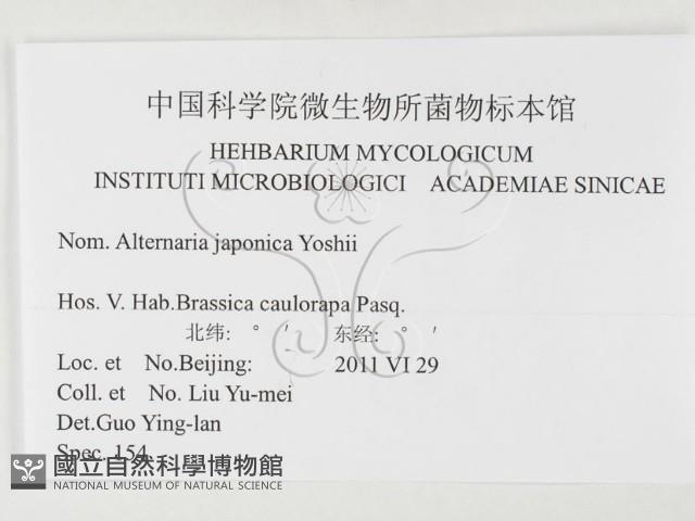 登錄號:F0026479藏品圖，第3張