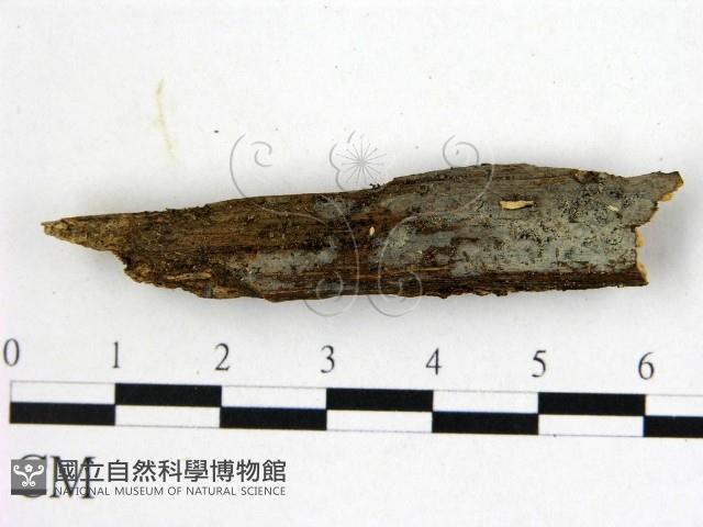 登錄號:F0022479藏品圖，第1張