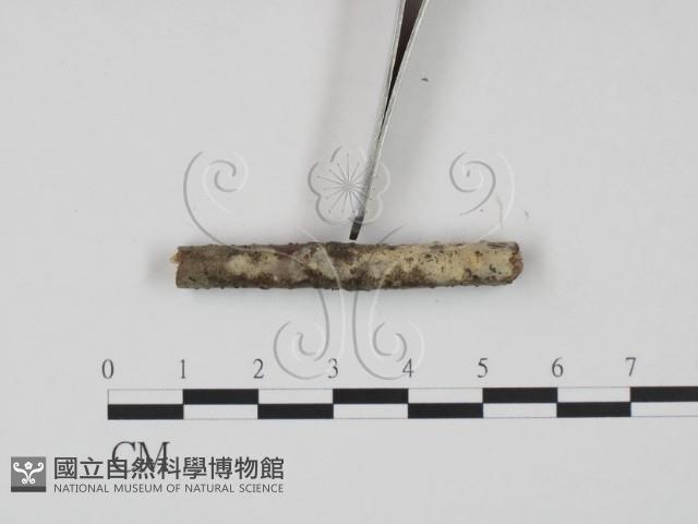 登錄號:F0016779藏品圖，第1張