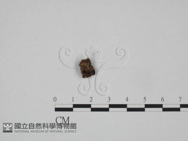 登錄號:F0001779藏品圖，第1張