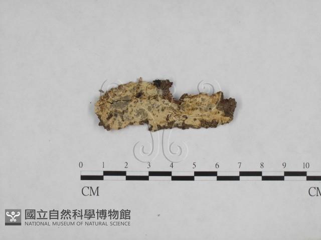 登錄號:F0024779藏品圖，第1張