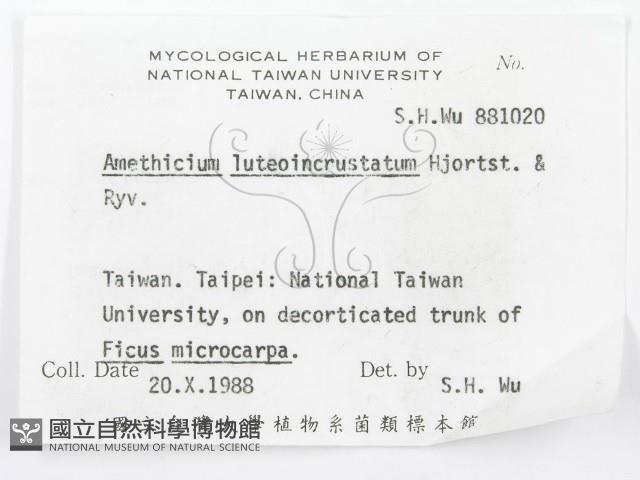 登錄號:F0002779藏品圖，第3張