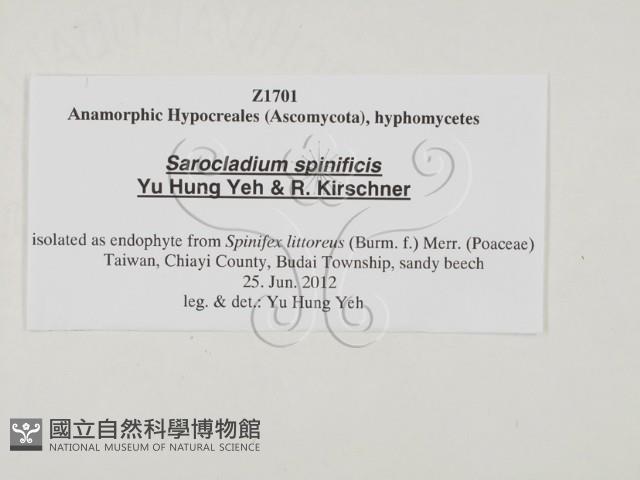 登錄號:F0027779藏品圖，第3張