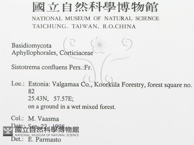 登錄號:F0015779藏品圖，第3張