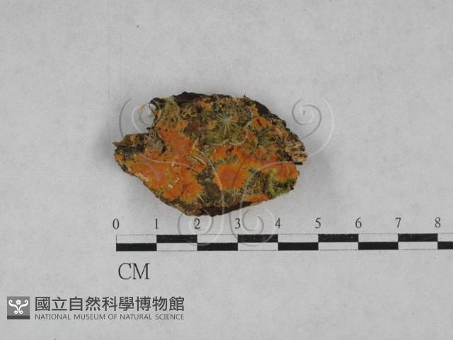 登錄號:F0028579藏品圖，第1張