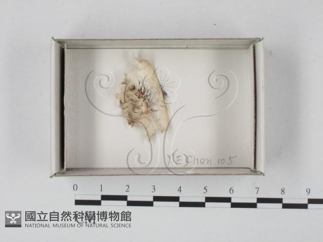 登錄號:F0018579藏品圖，第1張