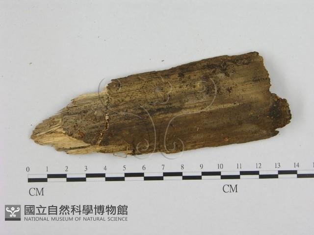 登錄號:F0007579藏品圖，第1張