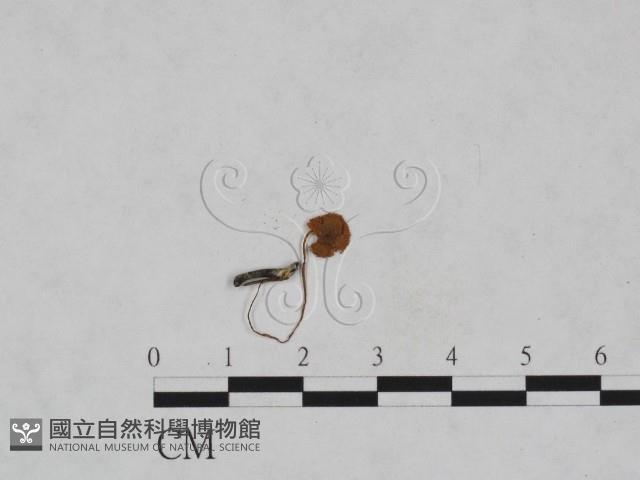 登錄號:F0023579藏品圖，第1張