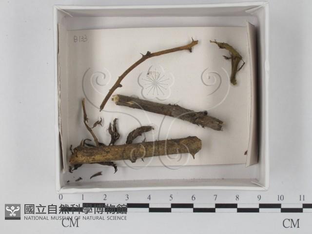 登錄號:F0018179藏品圖，第1張