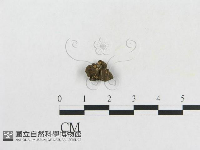 登錄號:F0010179藏品圖，第1張