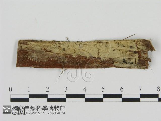 登錄號:F0012179藏品圖，第1張
