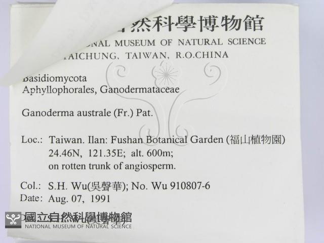 登錄號:F0015179藏品圖，第3張