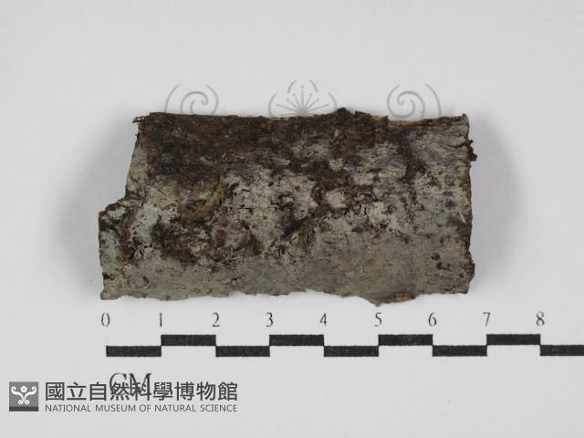 登錄號:F0030079藏品圖，第1張