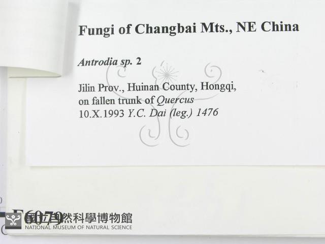 登錄號:F0006079藏品圖，第3張
