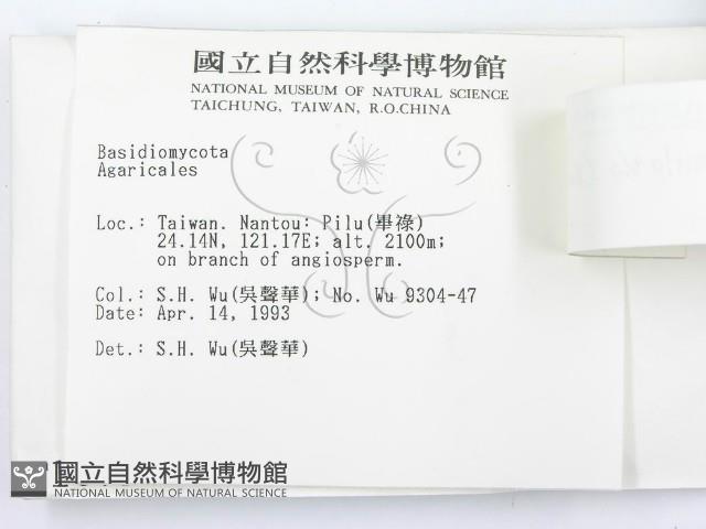 登錄號:F0001079藏品圖，第3張