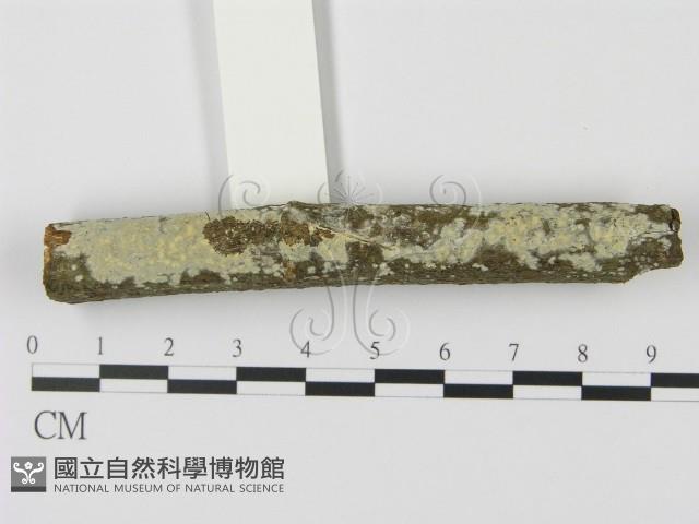 登錄號:F0015079藏品圖，第1張