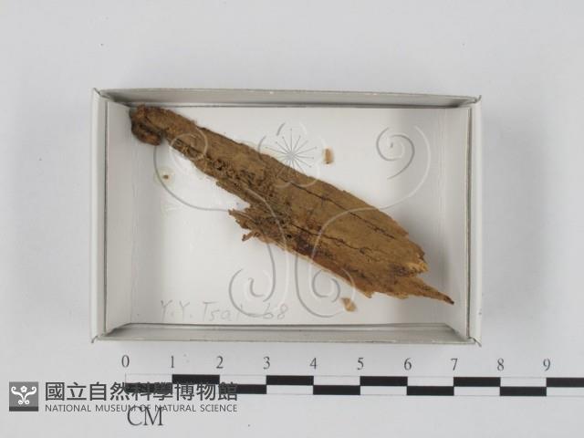 登錄號:F0018379藏品圖，第1張