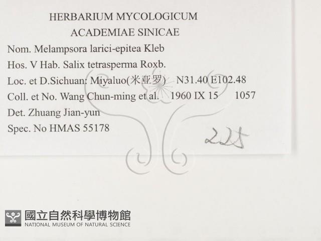登錄號:F0026379藏品圖，第3張